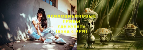 бошки Волоколамск